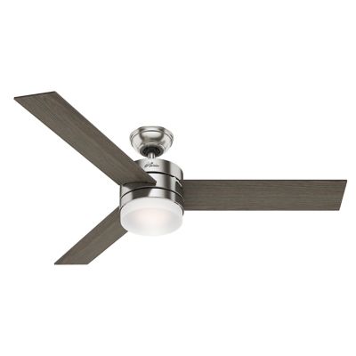 Exeter Ceiling Fan