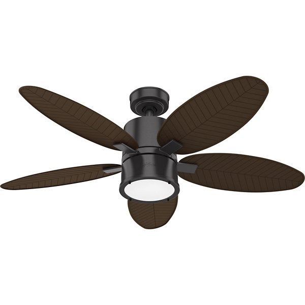 Amaryllis Led Outdoor Ceiling Fan By, Hunter Ceiling Fan Light Blinking On And Off