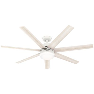 Phenomenon LED Ceiling Fan