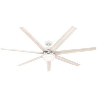 Phenomenon LED Ceiling Fan