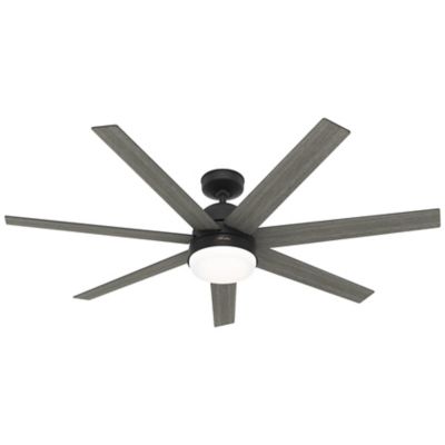 Phenomenon LED Ceiling Fan