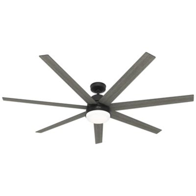Phenomenon LED Ceiling Fan
