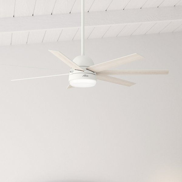 Phenomenon LED Ceiling Fan