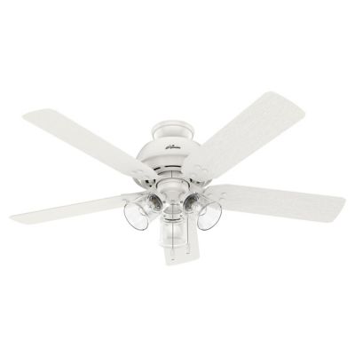 River Ridge Outdoor Ceiling Fan with Lights