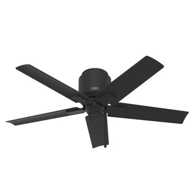 Terrace Cover Outdoor Flushmount Fan