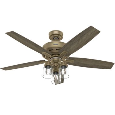 Ananova Smart Ceiling Fan