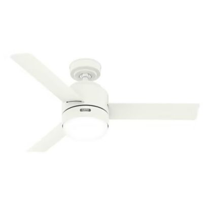 Gilmour Outdoor Ceiling Fan with Light