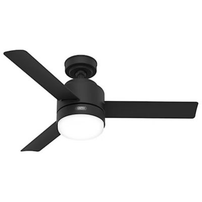 Gilmour Outdoor Ceiling Fan with Light