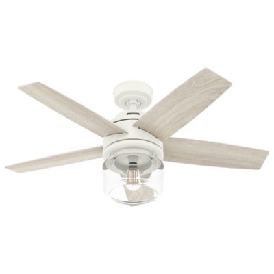 Margo Ceiling Fan