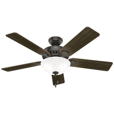 Pro's Best DC Ceiling Fan