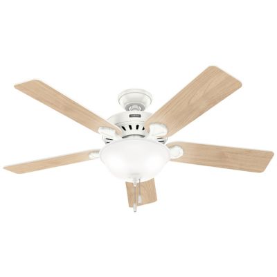 Pro's Best DC Ceiling Fan