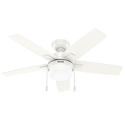 Anisten Ceiling Fan