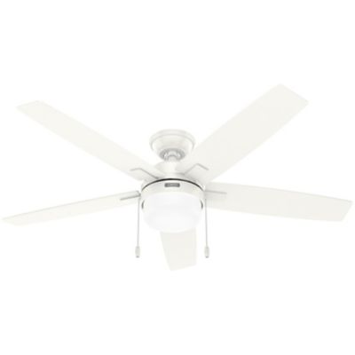 Anisten Ceiling Fan