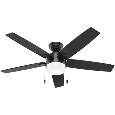 Anisten Ceiling Fan