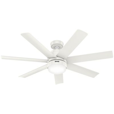 Brazos Outdoor Ceiling Fan with Light