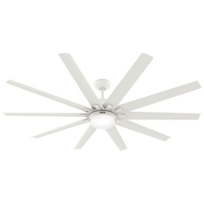 Overton Outdoor Ceiling Fan with Light