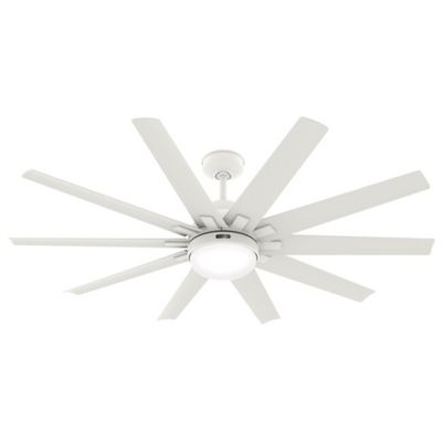 Overton Outdoor Ceiling Fan with Light