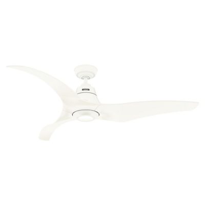 Arwen Outdoor with LED Ceiling Fan