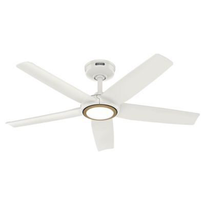 ZenTech 5 Blade LED Indoor/ Outdoor Smart Ceiling Fan