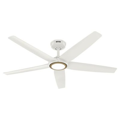 ZenTech 5 Blade LED Indoor/ Outdoor Smart Ceiling Fan