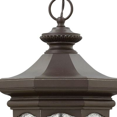 Raley Outdoor Pendant