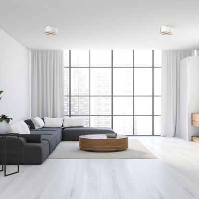 Axis Semi-Flushmount