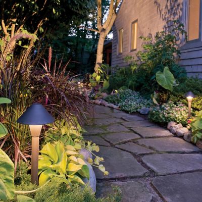 Springfield Path Light