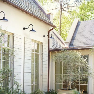 Forge Gooseneck Outdoor Wall Sconce