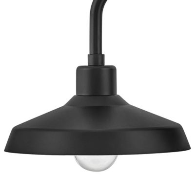 Forge Gooseneck Outdoor Wall Sconce