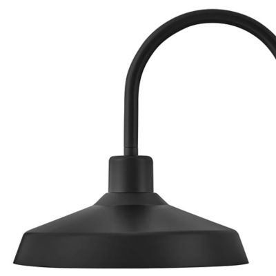 Forge Gooseneck Outdoor Wall Sconce