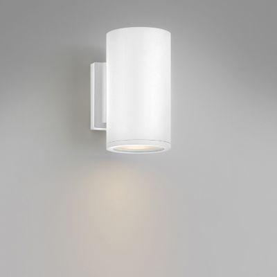 Silo Outdoor Downlight Wall Sconce