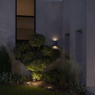 Silo Outdoor Wall Sconce