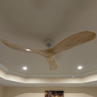 Swell Ceiling Fan