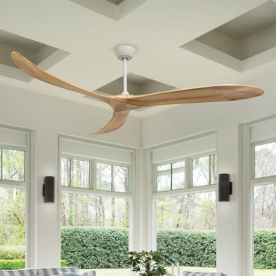 Swell Ceiling Fan