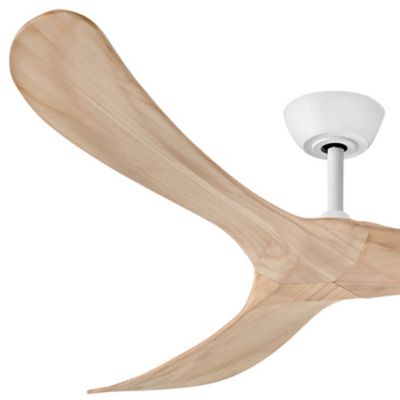 Swell Ceiling Fan