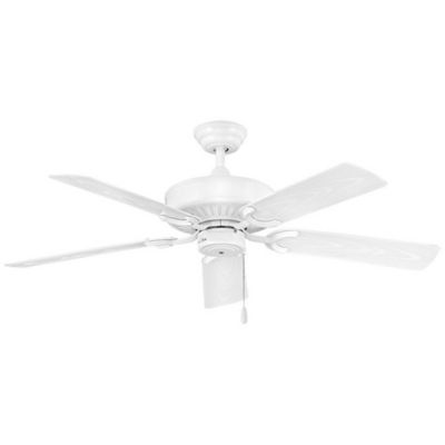 Oasis Ceiling Fan