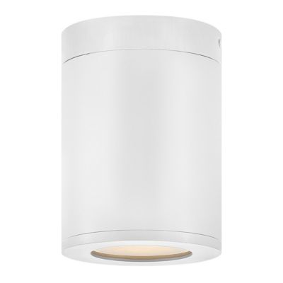 Silo Outdoor Flushmount