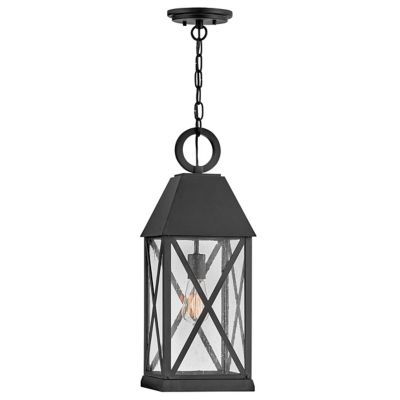 Briar Outdoor Pendant