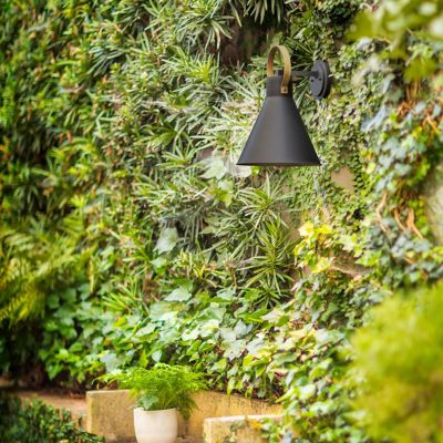 Winnie Outdoor Wall Sconce