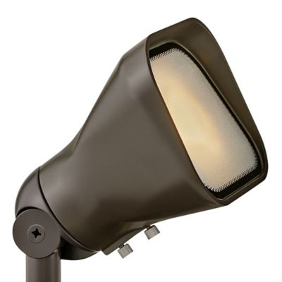 Accent Flood Light