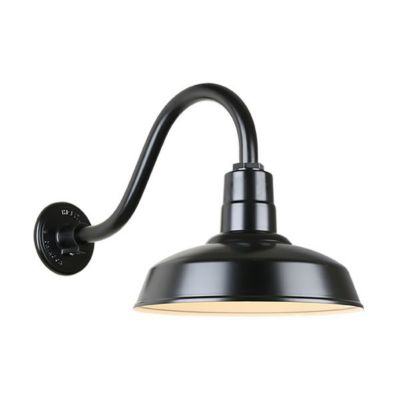 Warehouse 42 Arm Outdoor Wall Sconce