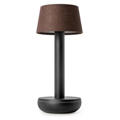Two LED Table Lamp