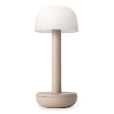 Two LED Table Lamp