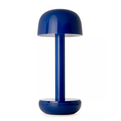Two LED Table Lamp