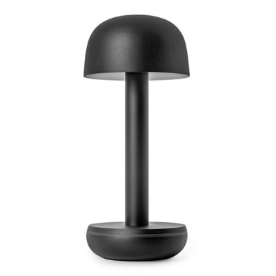 Two LED Table Lamp