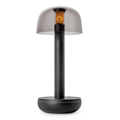 Two LED Table Lamp