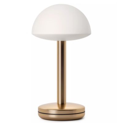 Bug LED Table Lamp