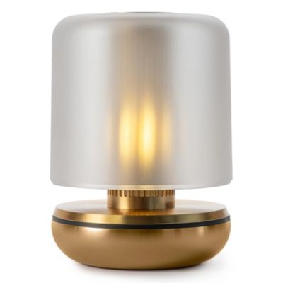 Firefly Table Lamp