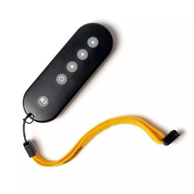 RF Remote Control