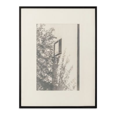 Zavianne 1 Wall Art